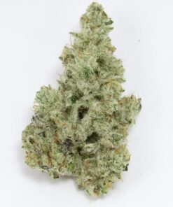 "Close-up of Cap Junky cannabis strain with dense, frosty buds and vibrant green hues."